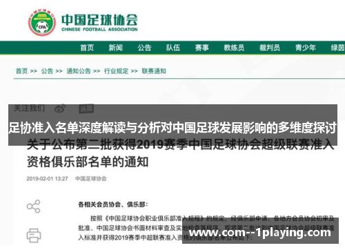 足协准入名单深度解读与分析对中国足球发展影响的多维度探讨 足协准入名单深度解读与分析对中国足球发展影响的多维度探讨