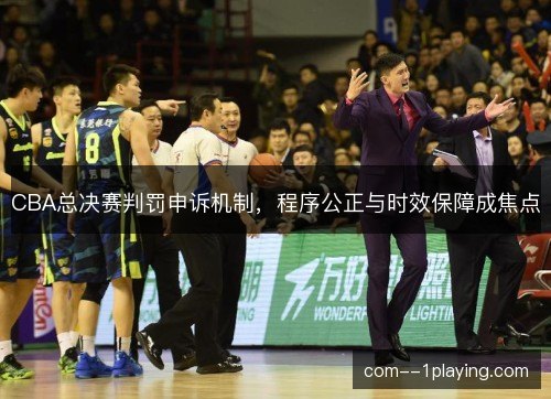 CBA总决赛判罚申诉机制，程序公正与时效保障成焦点
